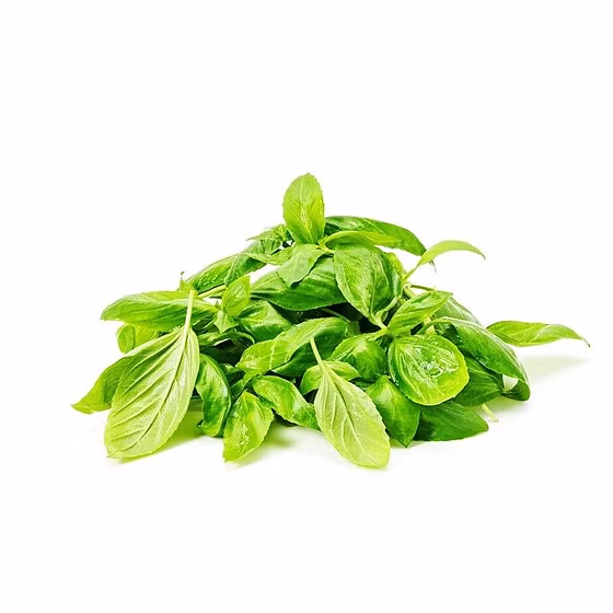 Only Hydroponic (basil) - 100gm