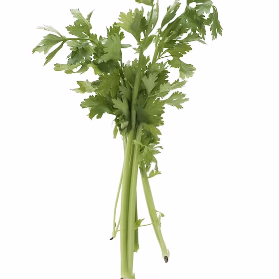 Only Hydroponics celery (the famous diet food) - 250gm