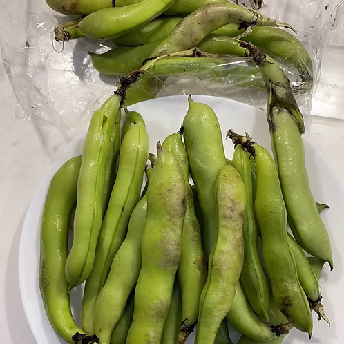 Broad Beans (Lovia Beans) -500g from Neeraj