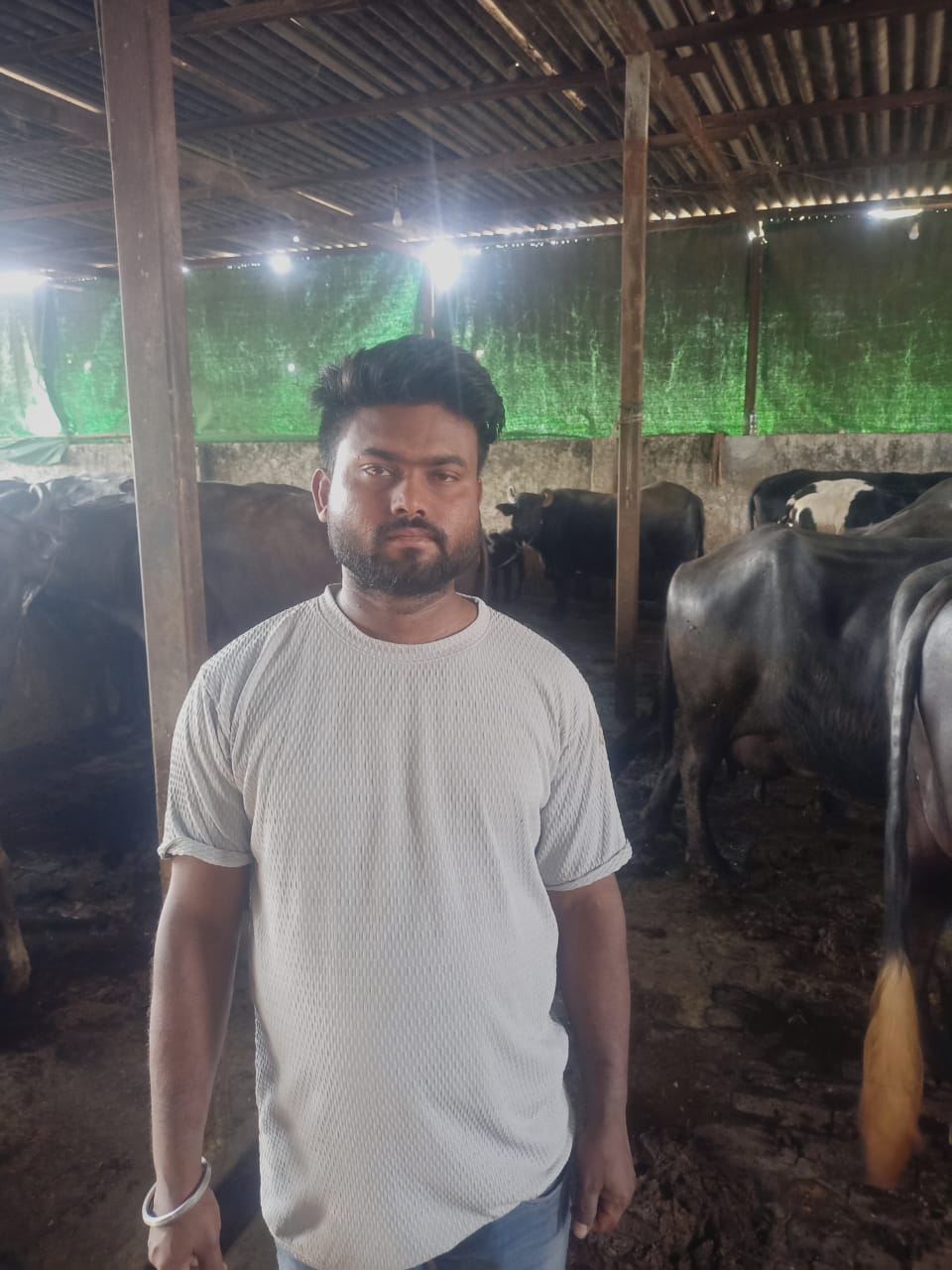 Shri Kanha Dairy Farms